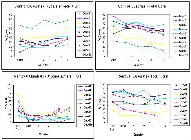 Time Series